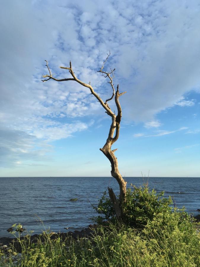 Rum på landet Klagstorp Eksteriør billede